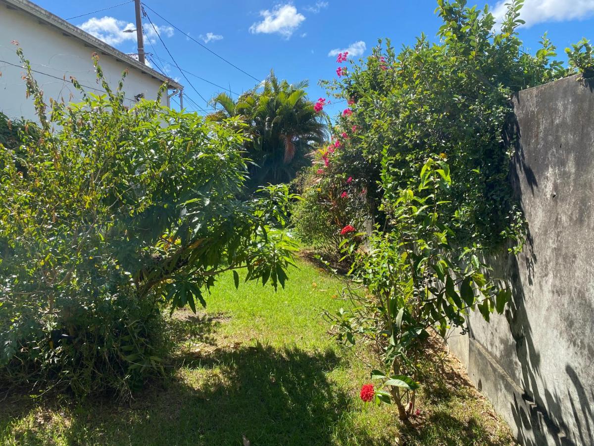 Maison Petit Paradis Basse-Terre Exterior foto