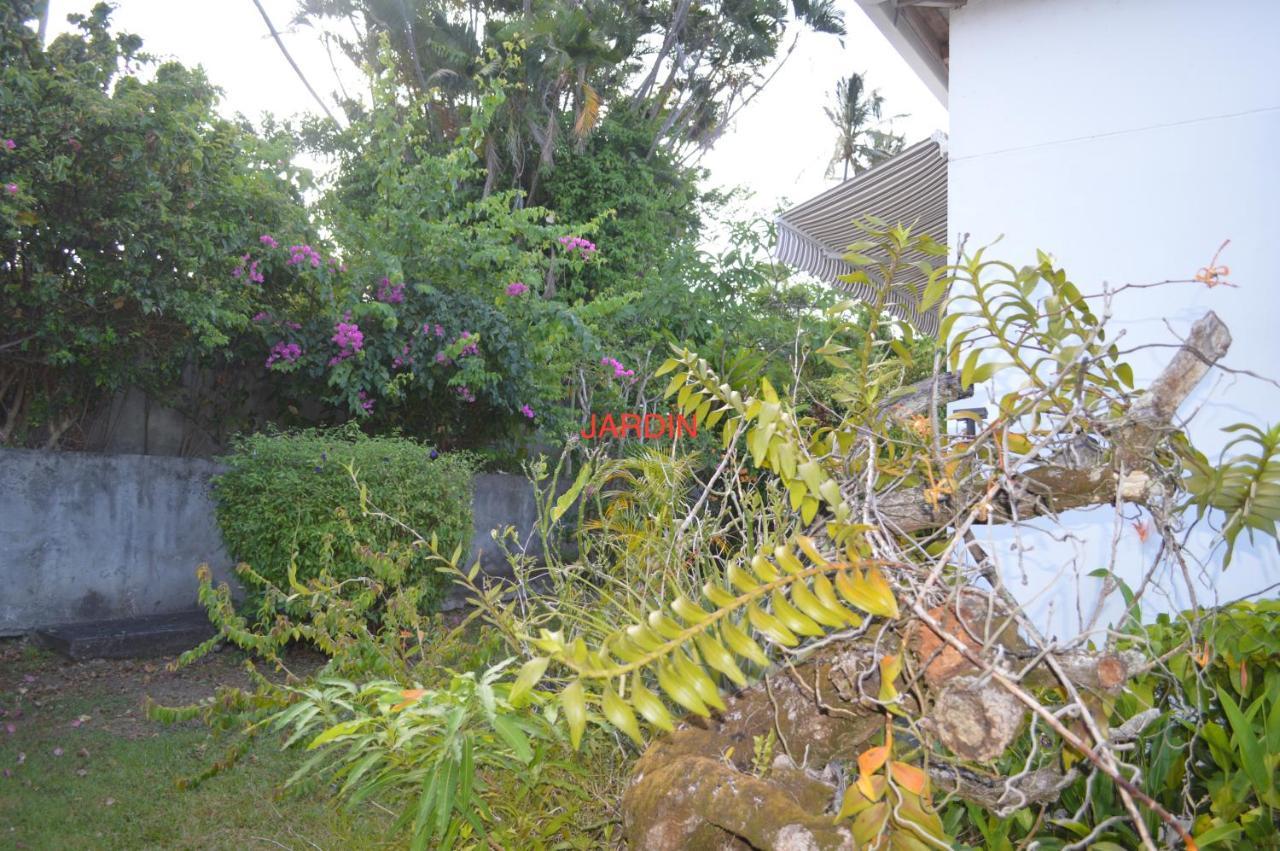 Maison Petit Paradis Basse-Terre Exterior foto